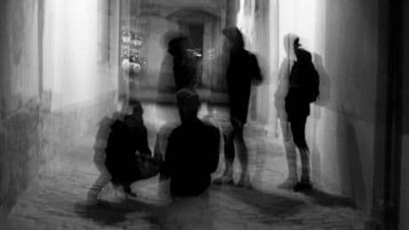 La violenza colpisce maschi e femmine