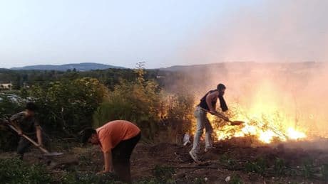 Balıkesir'deki orman yangınıyla ilgili 2 kişi tutuklandı