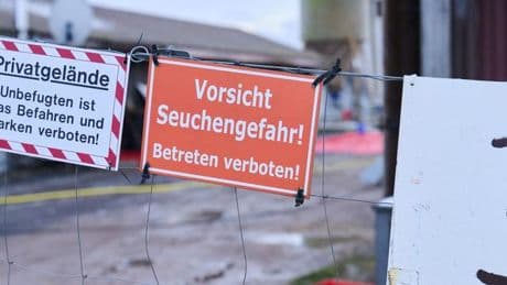 Tierseuchen: Sachsen verlangt bundesweite Solidarität bei Tierseuchen