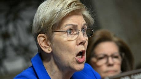 Elizabeth Warren claims Musk enriched himself to the tune of $100B during his time in the White House