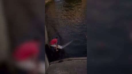 Nur in Paris! - Angler kämpft mit Monster-Wels
