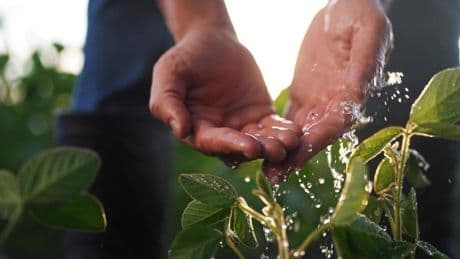El reto de regenerar las aguas residuales para usarlas en agricultura
