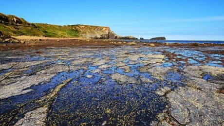 Beautiful beach where dinosaurs once walked is right next to a famous town