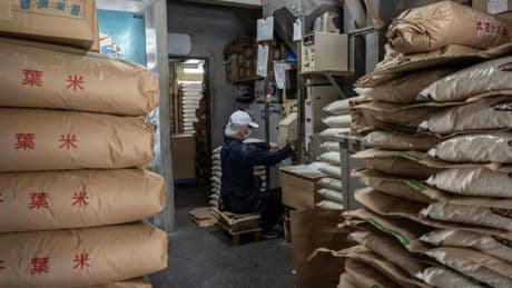 Le riz, dilemme épineux pour le Japon dans ses négociations avec Donald Trump