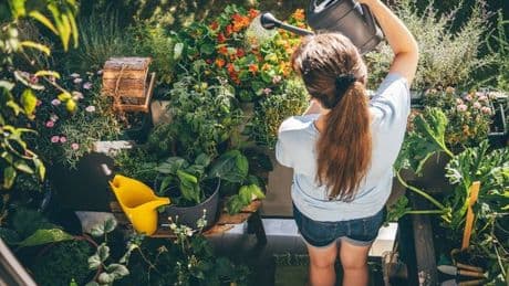 Six-piece plant set worth £80 that’s perfect for new gardeners gets slashed to half-price