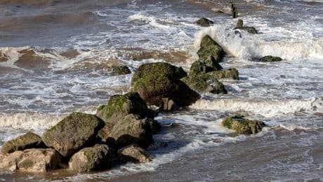 Teens find human remains on beach as police urge ghouls not to share grisly footage
