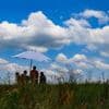 Wetter: Sonnenschein in Berlin und Brandenburg - aber auch Gewitter