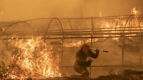 Cáceres, Ourense, León, Zamora... Las imágenes de los vecinos luchando contra el fuego