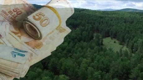 "Yeşil Vatan" için 10,9 milyarlık yatırım