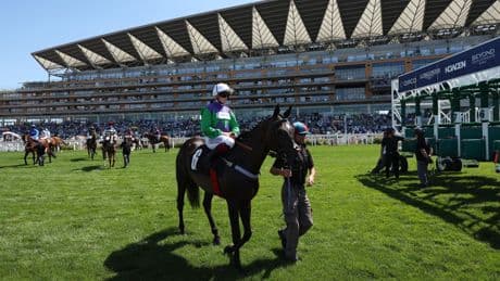 Friday’s racing tips: Preview, odds and best bets for Ascot, York, Thirsk and Sandown Park
