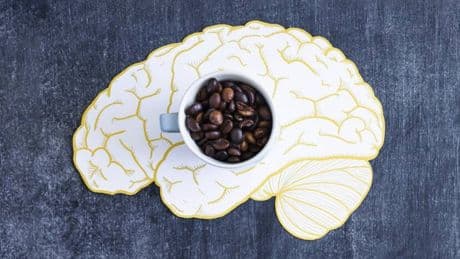 Estudian el cerebro humano y descubren que la cafeína tiene un 'efecto extraño'