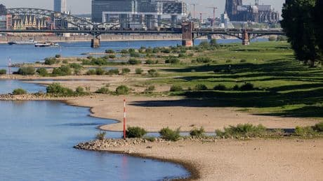 Niedrigwasser an Donau, Rhein, Elbe - In Deutschland trocknen die Flüsse aus