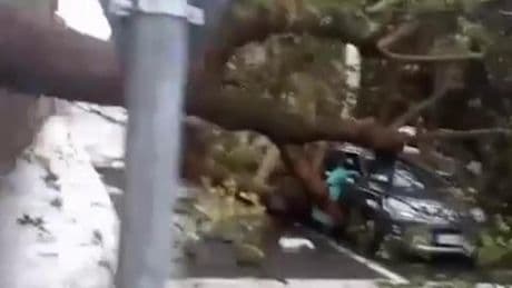 Maltempo in Lombardia, per il vento fortissimo a Legnano un albero cade sull'auto di un uomo: lievi ferite