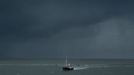 De vierde Waddenthriller staat weer garant voor groot en gelaagd genoegen