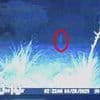 Creepy trail cam video shows weird white 'skinwalker creature' lurking near home