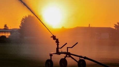 Sommer 2025: Hitze und Trockenheit – droht ein neuer Katastrophensommer?