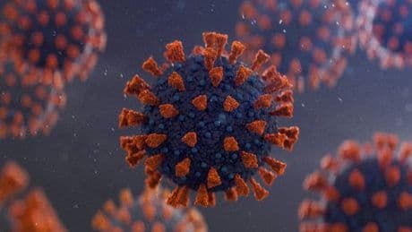 What has caused the global spike in new Covid variant 'Nimbus' NB.1.8.1?