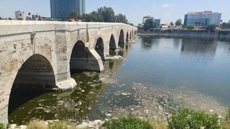 Seyhan Nehri'nde kirlilik: İzmir Körfezi'nden bile daha kötü durumda