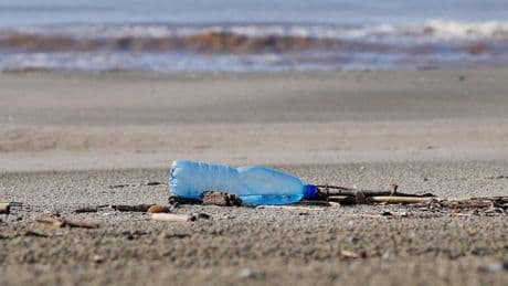 Canlı türleri yok oluyor, plastik atık sorunu büyüyor