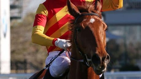 Explosive fight breaks out between two jockeys with one rushed to hospital for treatment after post-race bust-up
