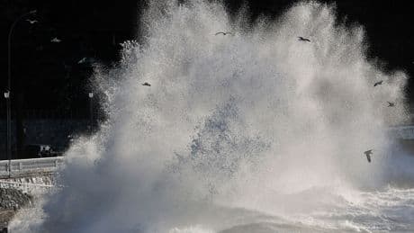 Alerte au tsunami après un puissant séisme de magnitude 7,5 à l’extrême sud du Chili