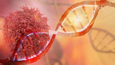 Un chercheur français récompensé pour son approche curative «révolutionnaire» contre le cancer