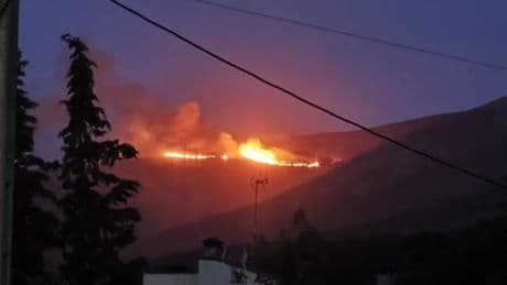 Qué son los intereses cinegéticos detrás de los incendios intencionados como el de Aliseda