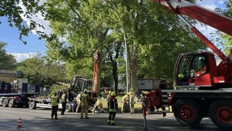 Schieflage-Alarm: Feuerwehr befreit Gabelstapler aus misslicher Lage