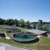 Decision looming for Trump administration on first PFAS drinking water limits