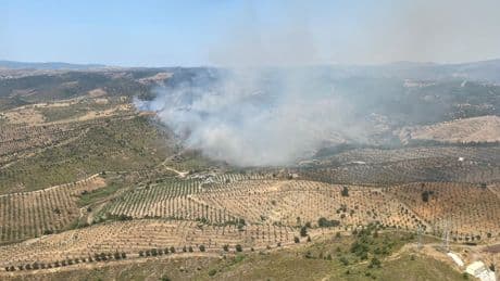 İzmir'de otluk alanda yangın