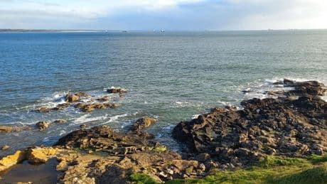 Un mar con molinos al horizonte