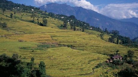 How Sikkim, India Become The World’s First Fully Organic State