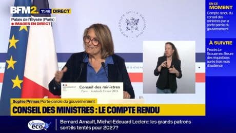 Mobilisation des agriculteurs: Sophie Primas "appelle au calme" et à "dialoguer" avec les députés