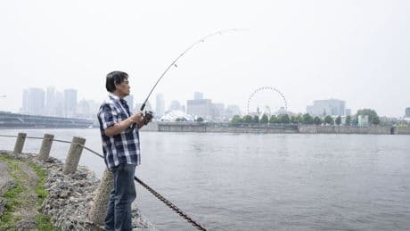 Air quality alerts ease across much of Quebec and Ontario after days of haze