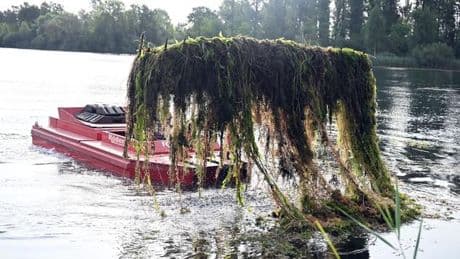 Badesaison: Mähboot unterwegs: So wird ein Baggersee badetauglich