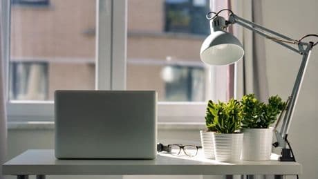 El Tamagochi para plantas que te avisa si necesitan agua o más luz para que no se te mueran