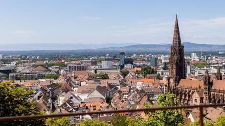 Vorfall in der Altstadt: Hund beißt Kind in Freiburg - Polizei sucht Zeugen