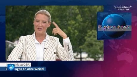 Gecrashtes Weidel-Interview - Wussten Polizei und ARD von der Störaktion?