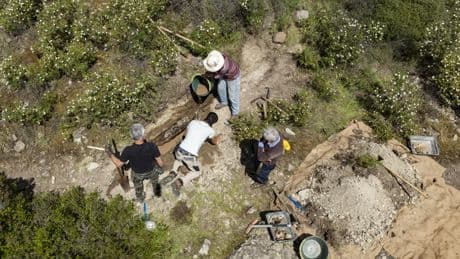 Dans les Alpes-Maritimes, des géologues bénévoles exhument un tronc fossilisé de 28 millions d’années