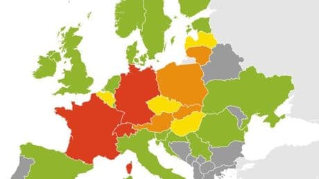 Surge in cases of deadly ‘fox parasite’ that lingers in the body for 15 years destroying organs detected across Europe