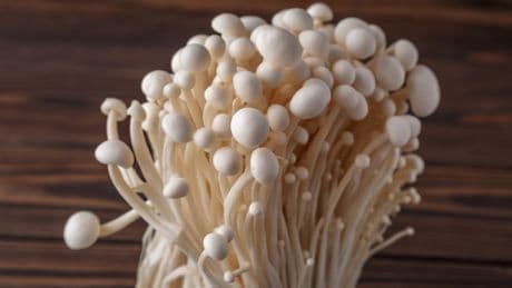 Urgent recall for mushrooms over fears they can cause ‘fatal infections’