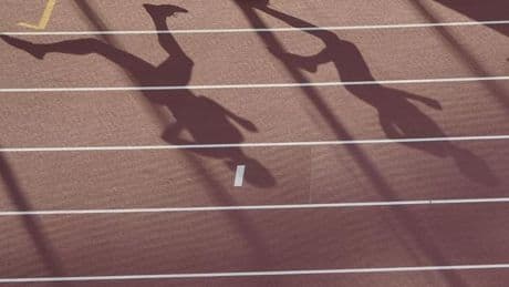 Zentrale Trainer-Datenbank?: Nach Vorwürfen gegen Trainer: Verband fordert Konsequenzen