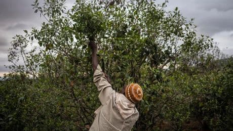 It’s Time To Take Stock: What’s Next For Global Food Systems?