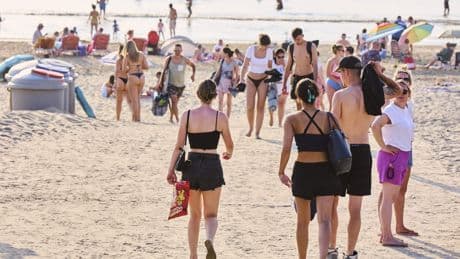 LIVE | KNMI kondigt code geel af om verwachte hitte komende dagen