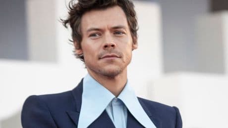 Harry Styles faces backlash from neighbours over plans for massive  mansion