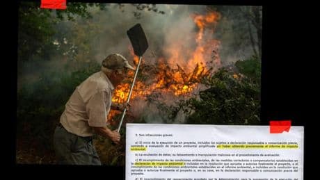 Un tercio de España no se toca: las leyes ambientales dificultan retirar del monte las 60 M de toneladas de maleza inflamable