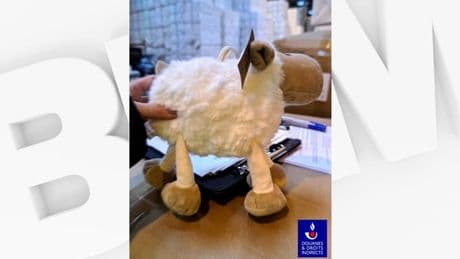 Fos-sur-Mer: 6.000 peluches dangereuses pour la santé des enfants saisies par les douanes