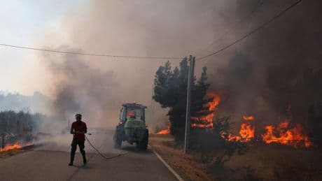 Incendies au Portugal: le président annonce la mort d'un ancien maire