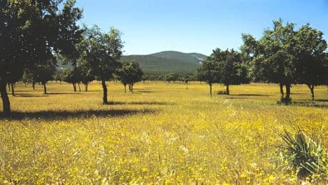 Quintos de Mora: el paraíso donde se refugia Pedro Sánchez de la gran tormenta