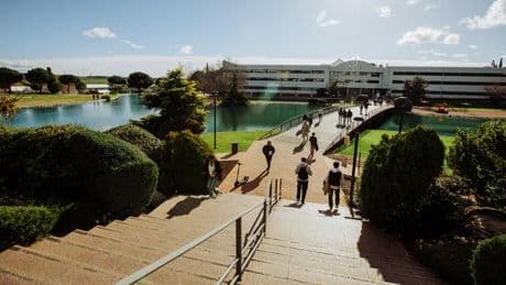 Más de 30.000 alianzas que conectan universidad y empleo